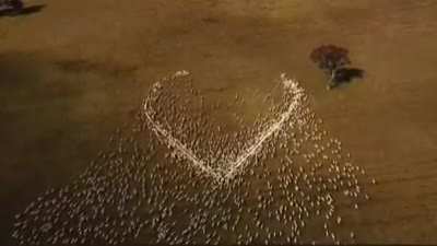 A sheep farmer in Australia pays tribute to his aunt whose funeral he couldn’t attend because of lockdown.