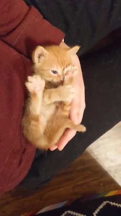 Those my toes nom