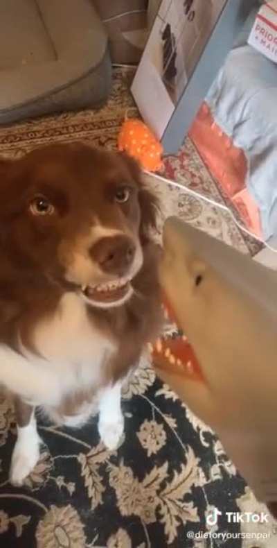 I bite back ??