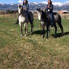 "Hey let's take a dope picture poppin some bottles on horses"