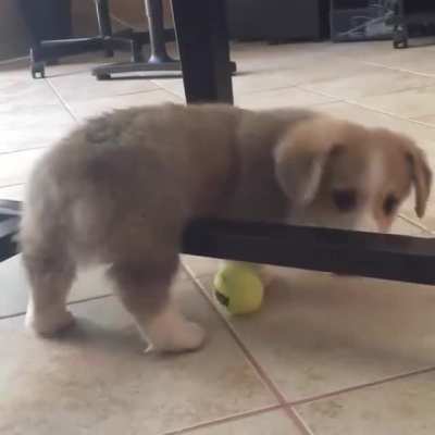 Oh no! He’s stuck