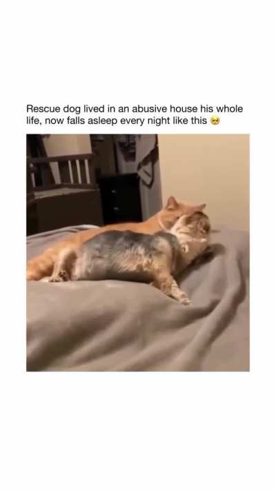 The licks at the end... ?