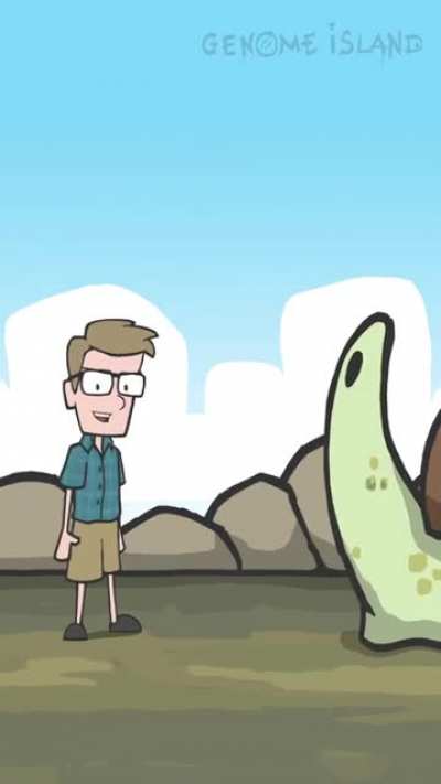 Hank Green talking about snails.