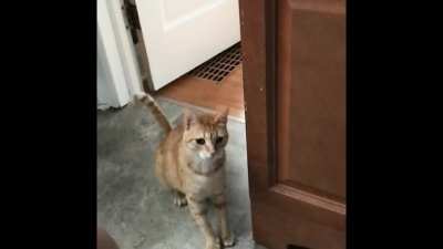 miss butter is so afraid of the bathroom... if you make any movement, she flies away ?