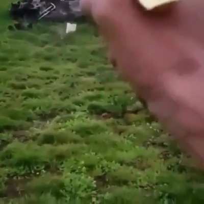 A Desert Eagle's "Ring of Fire"