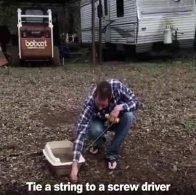 Cleaning the litter box