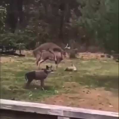 Maybe Maybe Maybe