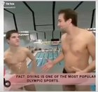 Best dive of the year