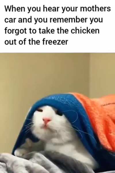 "Oh frick"