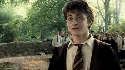 Head on Harry