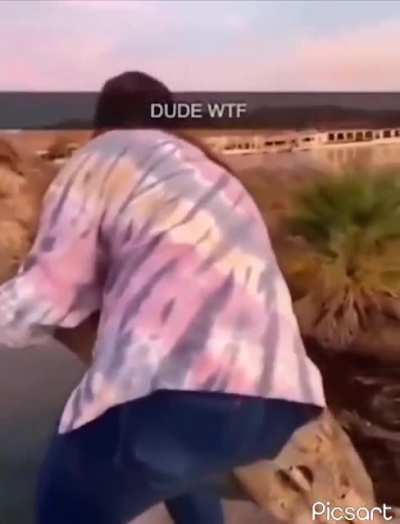 Funny videos