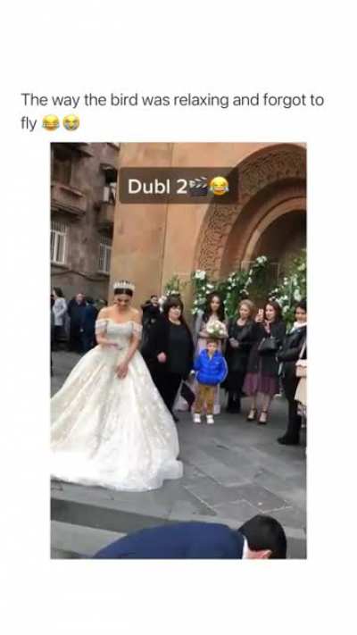 Always something unexpected happens at your wedding ?