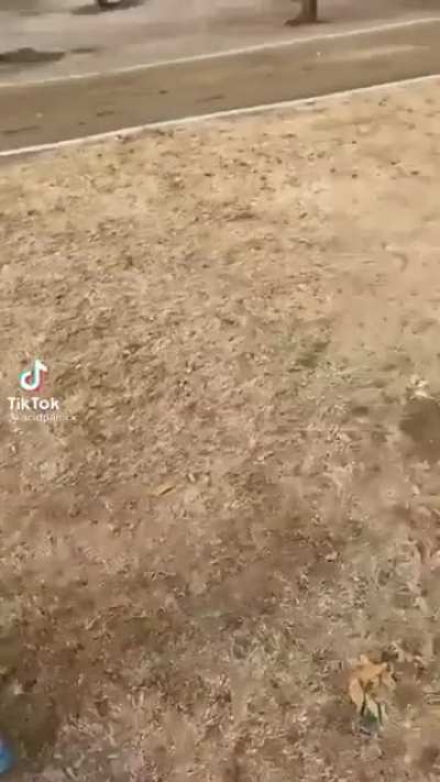 They are coming for us