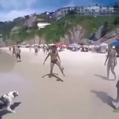 Dog plays ball with his crew at the beach