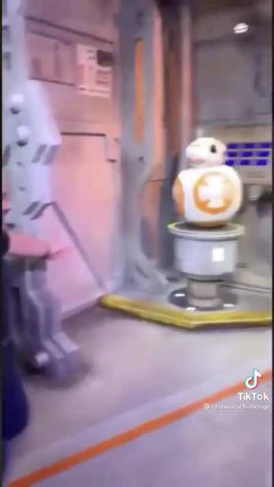 BB-8 meets BB-8