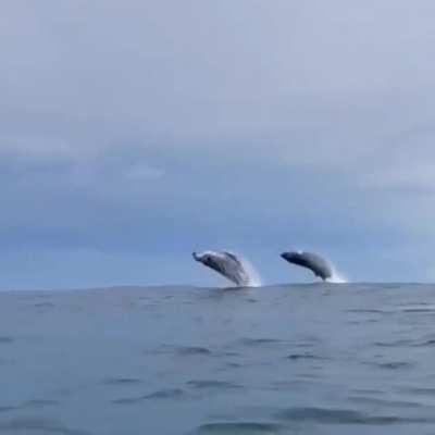 ? Double breach near Santa Teresa, Costa Rica