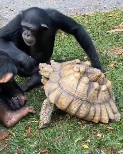 ? He's sharing his food ? because sharing is caring