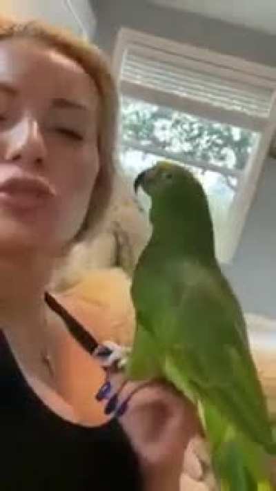 Sweet birdie time