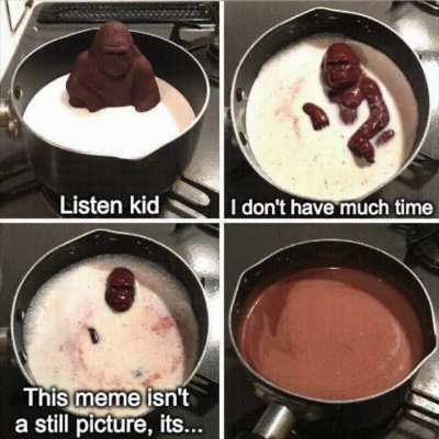 The Wise Wisdom of Choco Harambe