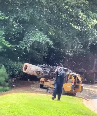 to ignore hazards
