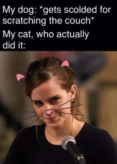 Music to my ears