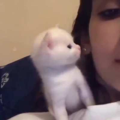 Maybe maybe maybe