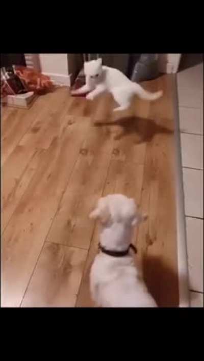 The last tango?