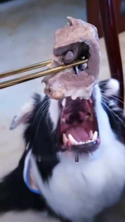 Tell me your dog loves savory meat treats without telling me your dog loves savory meat treats ?