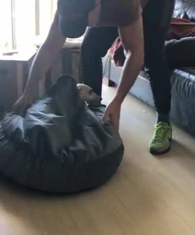 She got a new bed today ?