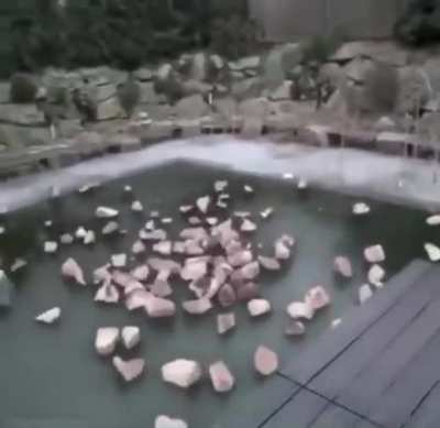 That was quite a dive
