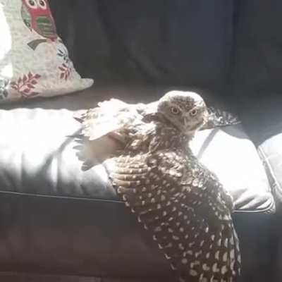 Soaking up the sun...