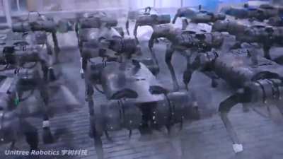 Laikago is a robot "dog" manufactured by the Unitree Robotics company. Laikago can carry a payload of 5 kg, reach speeds of up to 8 miles (13km) / hour and complete a task for 2.5 hours without being recharged. Cost: $ 10000.