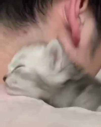 Teeny Tiny Furball Just Wants To Love ?