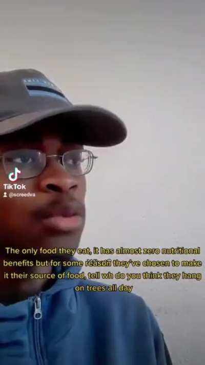 Dumbest mammal alive