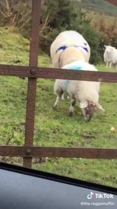 Just a quick sniff