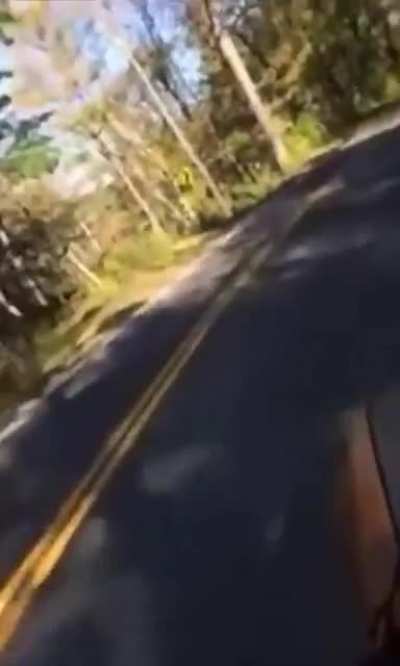 Skateboarding on a dead car ??