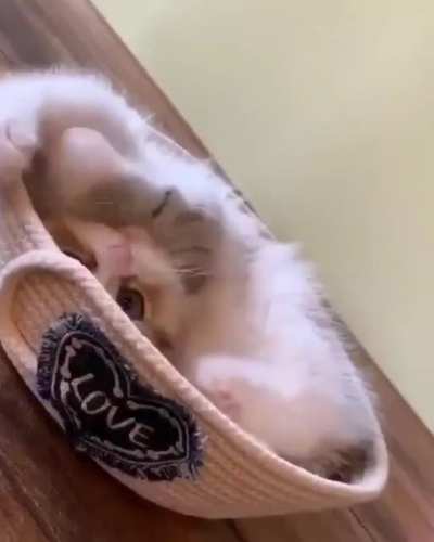 If you think you can get away with being cute, you're absolutely right! ??