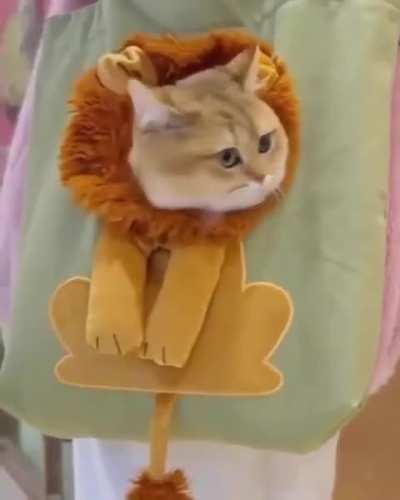 My new bag