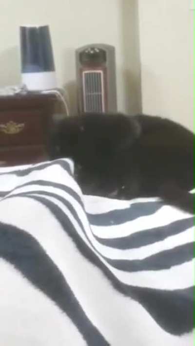 Wiggle worm attac
