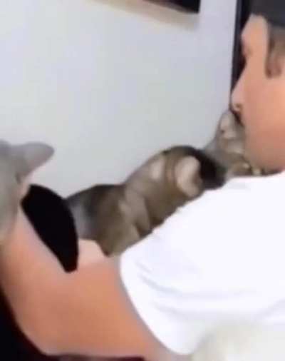 Whoa kitty ?