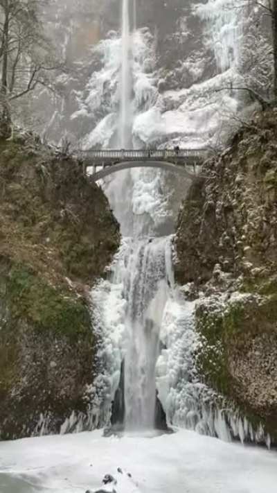 ? Magnificent Cascade of Icy Waters of Multnomah Falls, Oregon