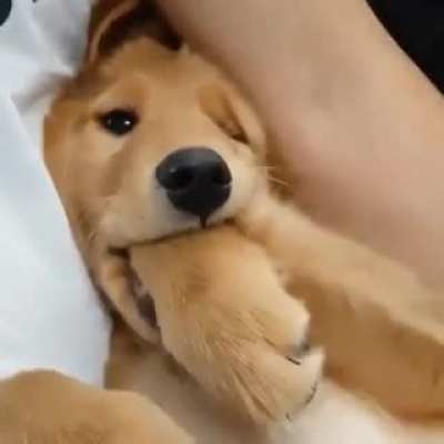 I am delicious ??❤️