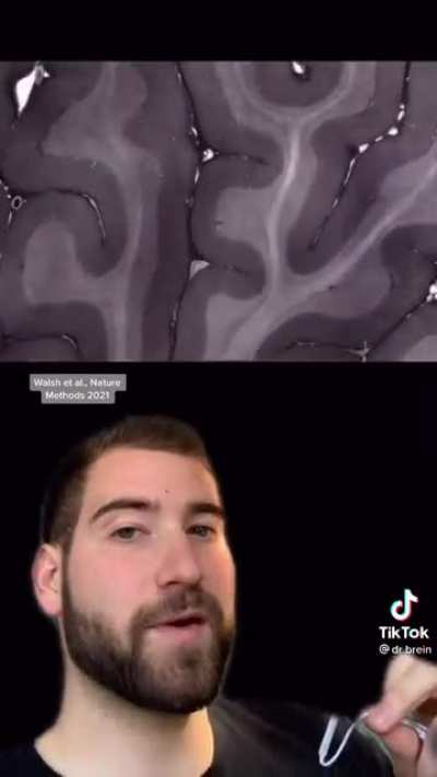 Hierarchical Phase-Contrast Tomography