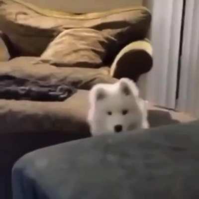 Nobody saw that, ok??