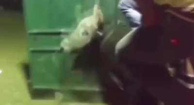 Maybe Maybe Maybe