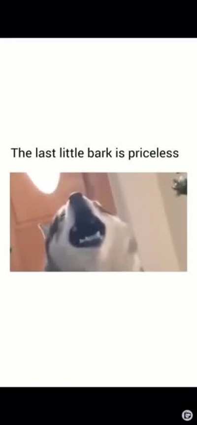 Singing dog