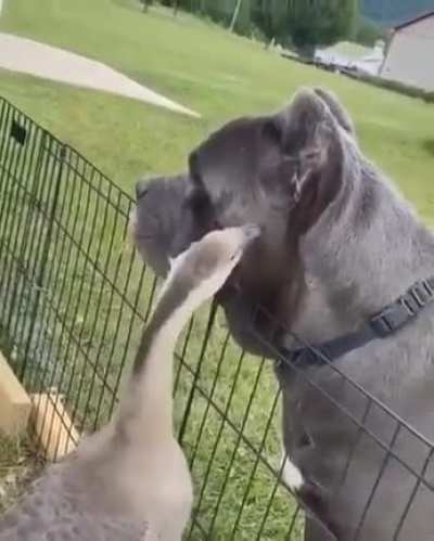 hmmm