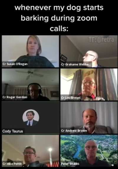 Dog barking during a call.