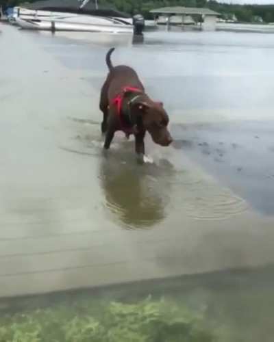 "Nope, I don't like this anymore"