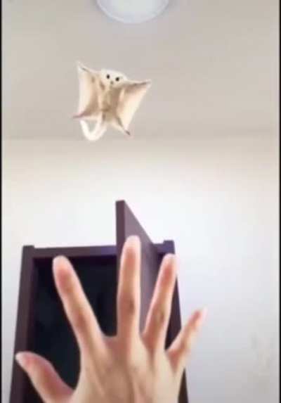 We’re soarin’ Flyin’. We’re breaking freeeeeee